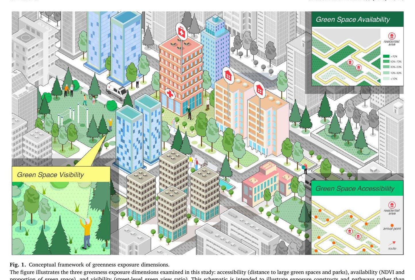 City-wide cognitive function screening study of older adults in Beijing reveal protective association of urban green space