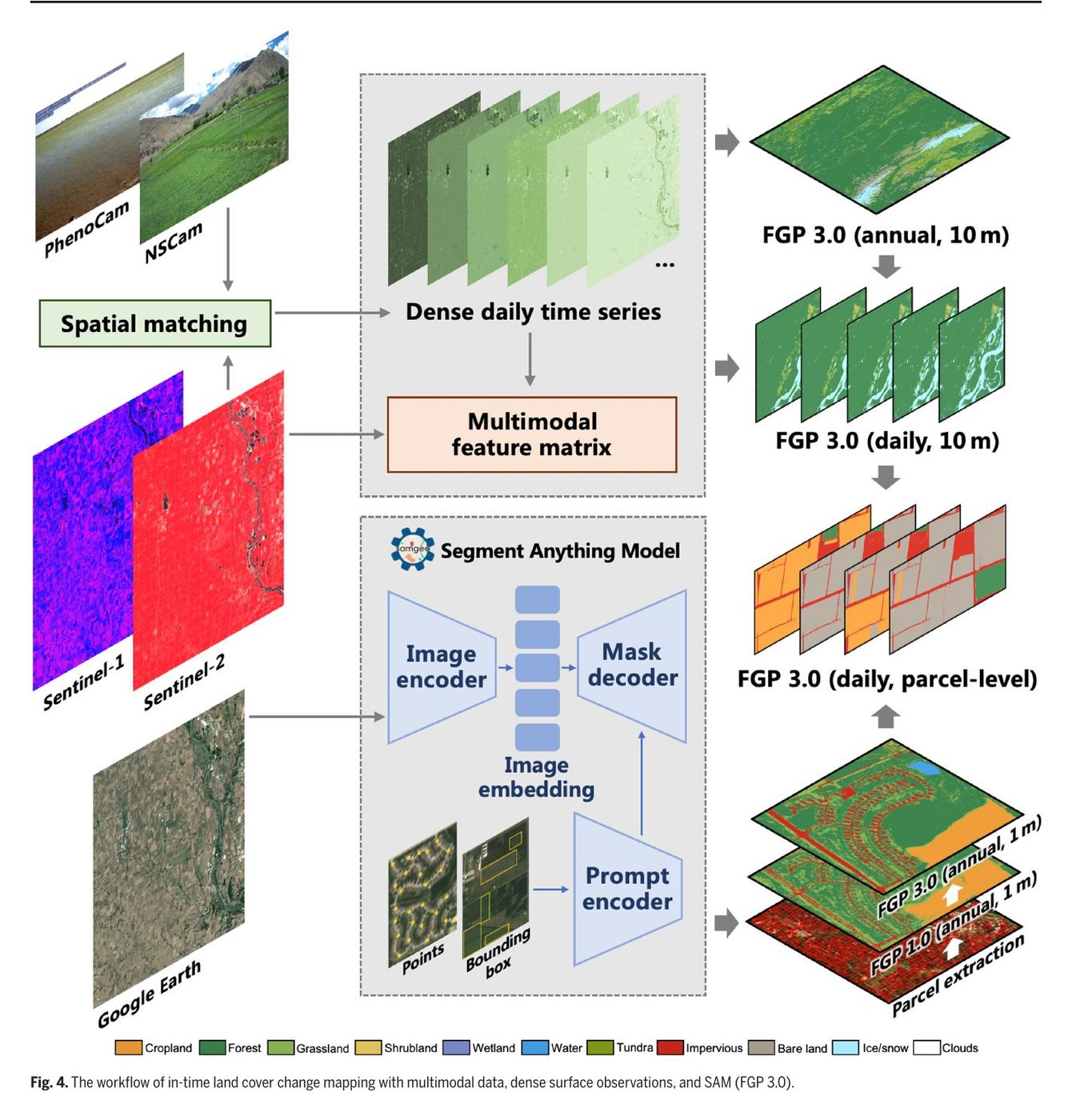 FROM-GLC Plus 3.0: Multimodal Land Change Mapping with SAM and Dense Surface Observations