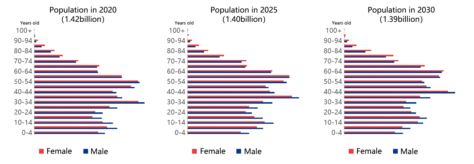 2025‑2060 China Age Structure Projection Results (Provincial)