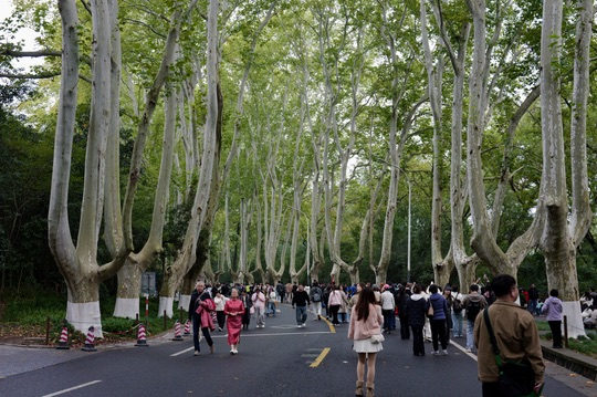 Fieldwork / 考察, 2025