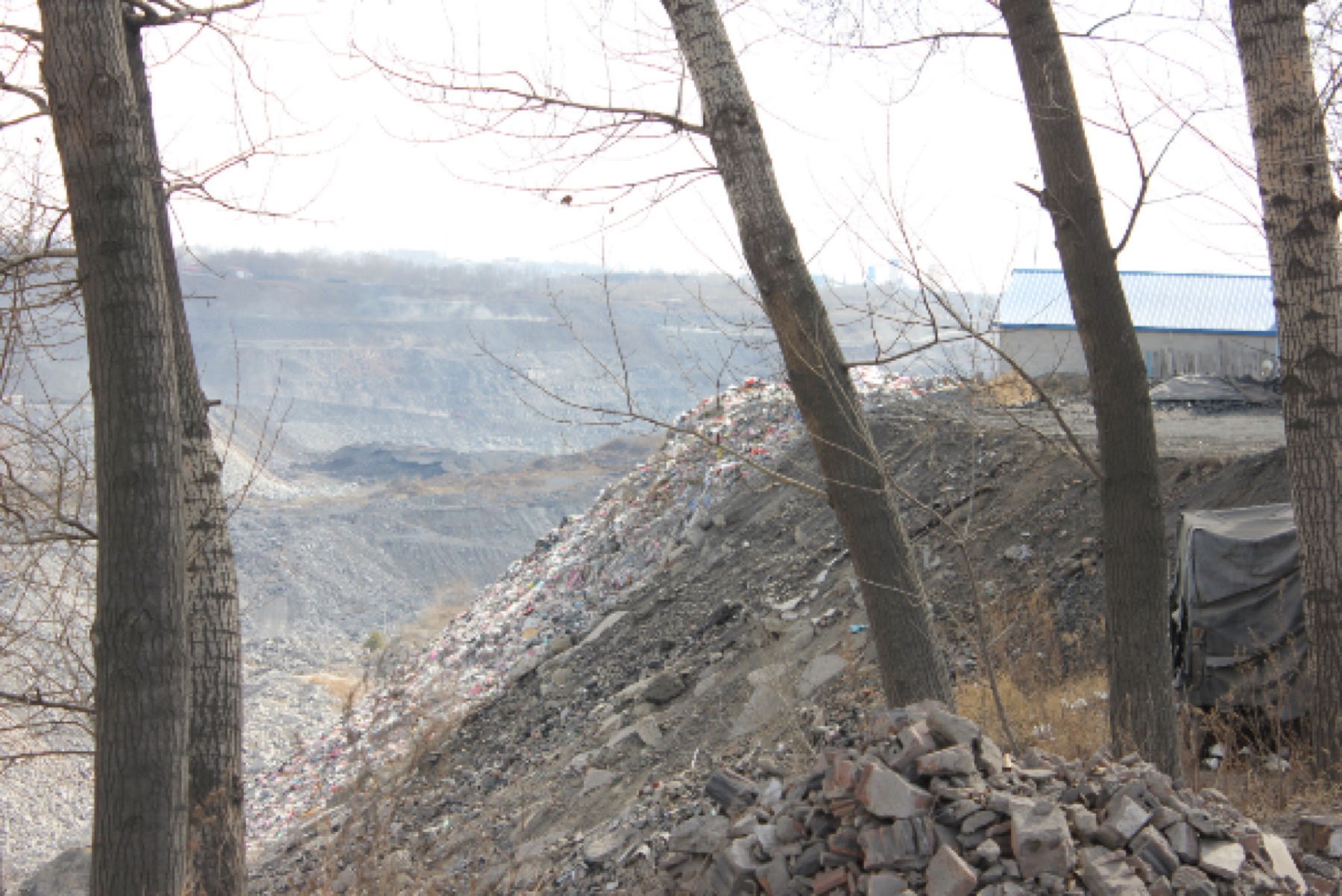 Industrial and disturbed landscape observed during the Hegang workshop