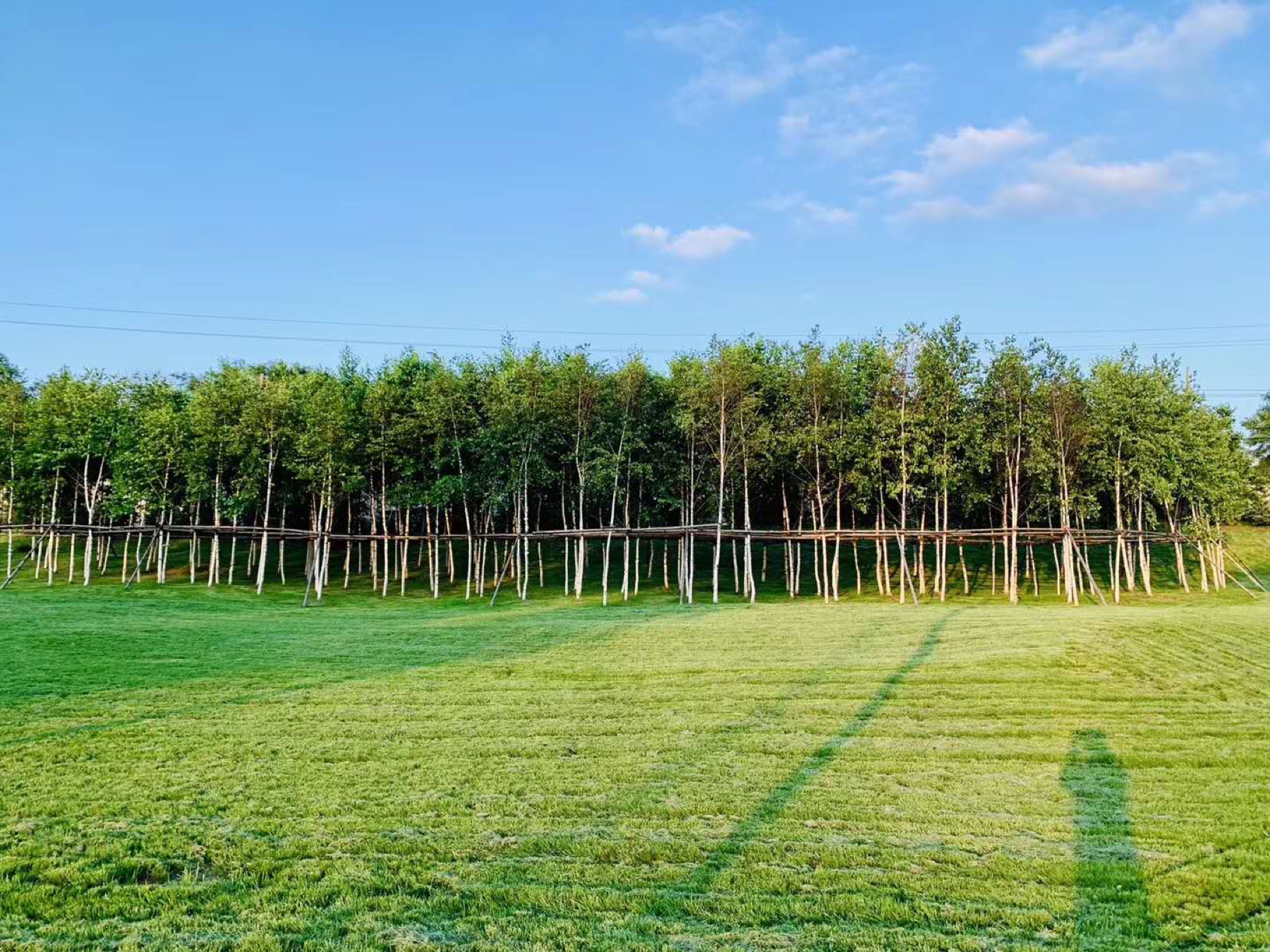 Open landscape documented during the Hegang field workshop