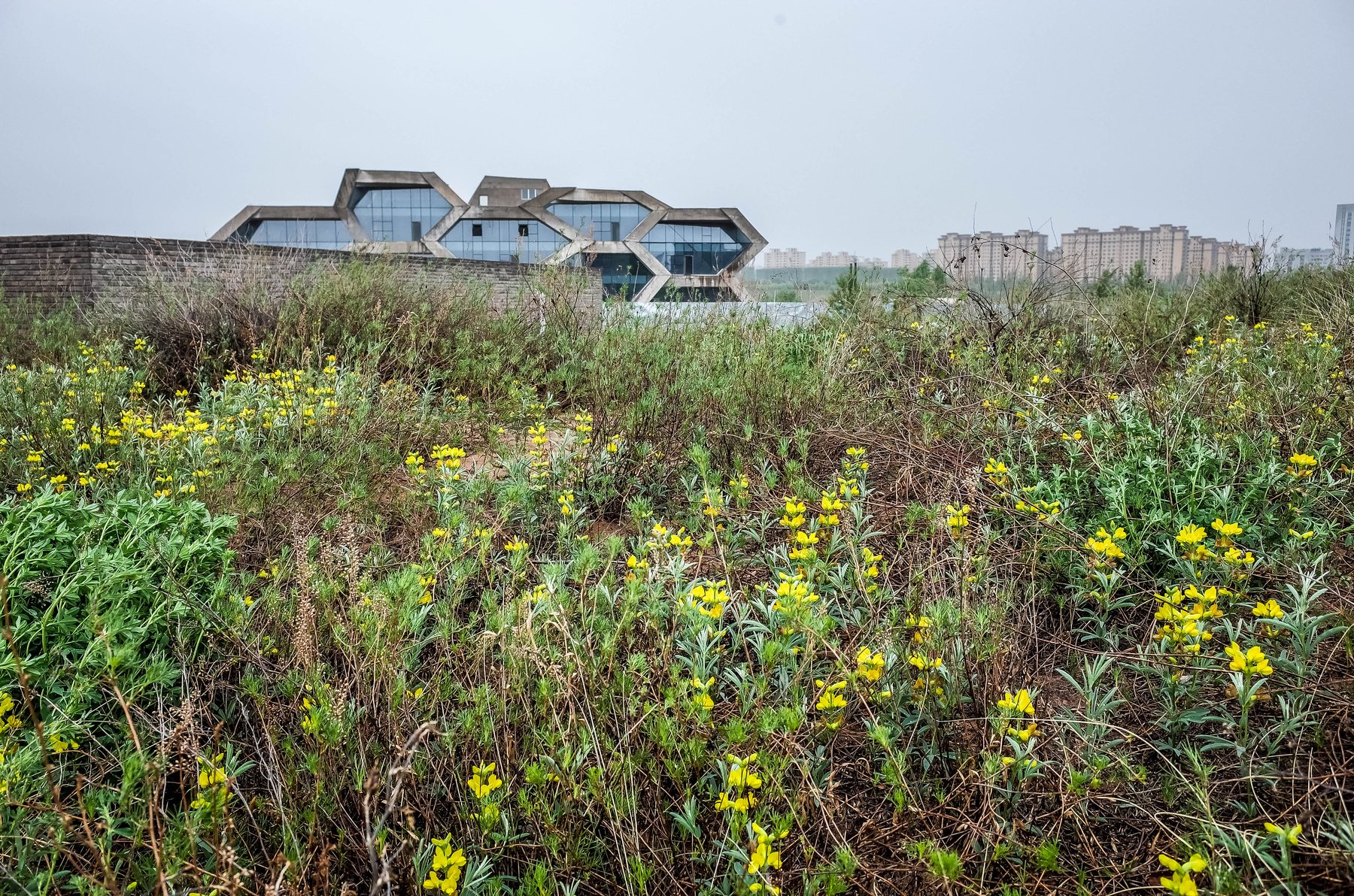 New but almost empty gallery — Kangbashi, Ordos